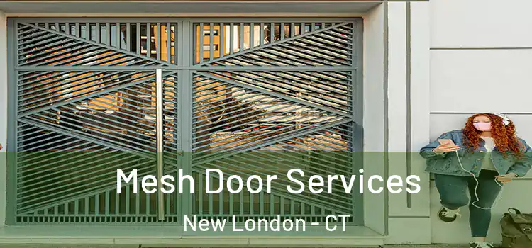  Mesh Door Services New London - CT